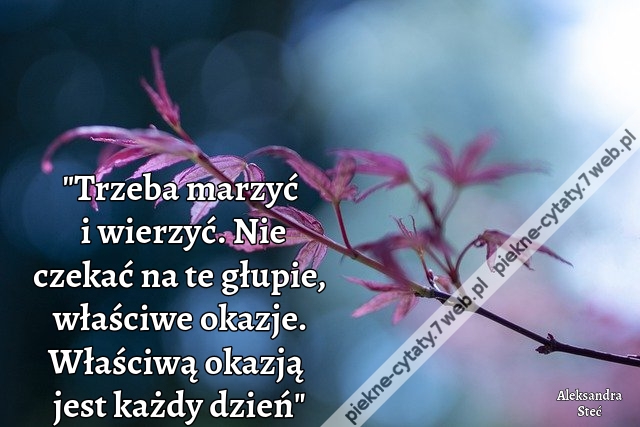 Trzeba marzyć i wierzyć. Nie czekać na te głupie, właściwe okazje. Właściwą okazją jest każdy dzień