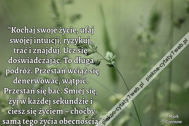 "Kochaj swoje życie, ufaj swojej intuicji, ryzykuj, trać i znajduj. Ucz się doświadczając. To długa podróż. Przestań wciąż się denerwować, wątpić. Przestań się bać. Śmiej się, żyj w każdej sekundzie i ciesz się życiem – choćby samą tego życia obecnością"