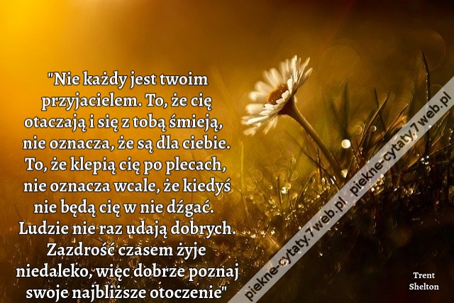 "Nie każdy jest twoim przyjacielem. To, że cię otaczają i się z tobą śmieją, nie oznacza, że są dla ciebie. To, że klepią cię po plecach, nie oznacza wcale, że kiedyś nie będą cię w nie dźgać. Ludzie nie raz udają dobrych. Zazdrość czasem żyje niedaleko,