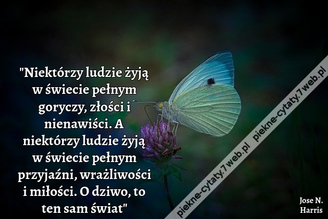 Niektórzy ludzie żyją w świecie pełnym goryczy, złości i nienawiści. A niektórzy ludzie żyją w świecie pełnym przyjaźni, wrażliwości i miłości. O dziwo, to ten sam świat