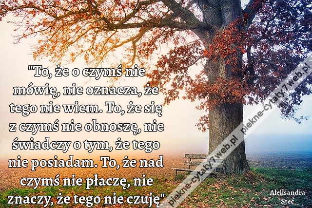 "To, że o czymś nie mówię, nie oznacza, że tego nie wiem. To, że się z czymś nie obnoszę, nie świadczy o tym, że tego nie posiadam. To, że nad czymś nie płaczę, nie znaczy, że tego nie czuję"