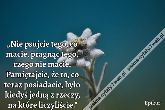 „Nie psujcie tego, co macie, pragnąc tego, czego nie macie. Pamiętajcie, że to, co teraz posiadacie, było kiedyś jedną z rzeczy, na które liczyliście."