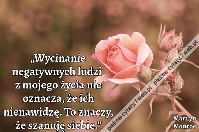 „Wycinanie negatywnych ludzi z mojego życia nie oznacza, że ich nienawidzę. To znaczy, że szanuję siebie.”