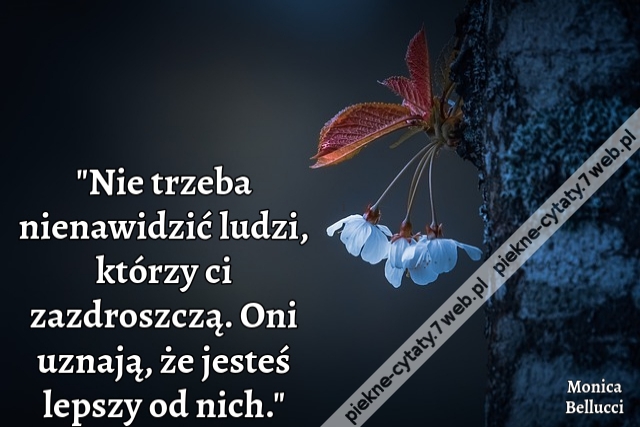 "Nie trzeba nienawidzić ludzi, którzy ci zazdroszczą. Oni uznają, że jesteś lepszy od nich."