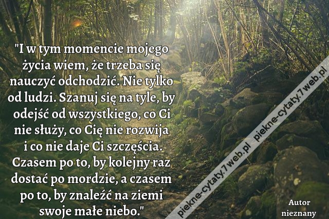 I w tym momencie mojego życia wiem, że trzeba się nauczyć odchodzić. Nie tylko od ludzi. Szanuj się na tyle, by odejść od wszystkiego, co Ci nie służy, co Cię nie rozwija i co nie daje Ci szczęścia. Czasem po to, by kolejny raz dostać po mordzie, a czasem