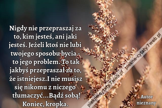 Nigdy nie przepraszaj za to, kim jesteś, ani jaki jesteś.  Jeżeli ktoś nie lubi twojego sposobu bycia - to jego problem.  To tak jakbyś przepraszał za to, że istniejesz. I nie musisz się nikomu z niczego tłumaczyć... Bądź sobą! Koniec, kropka.