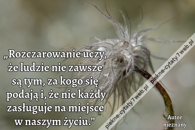 „Rozczarowanie uczy, że ludzie nie zawsze są tym, za kogo się podają i, że nie każdy zasługuje na miejsce w naszym życiu.”