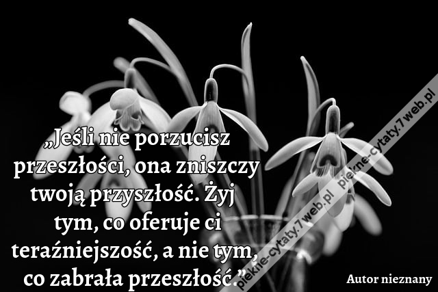 „Jeśli nie porzucisz przeszłości, ona zniszczy twoją przyszłość. Żyj tym, co oferuje ci teraźniejszość, a nie tym, co zabrała przeszłość.”