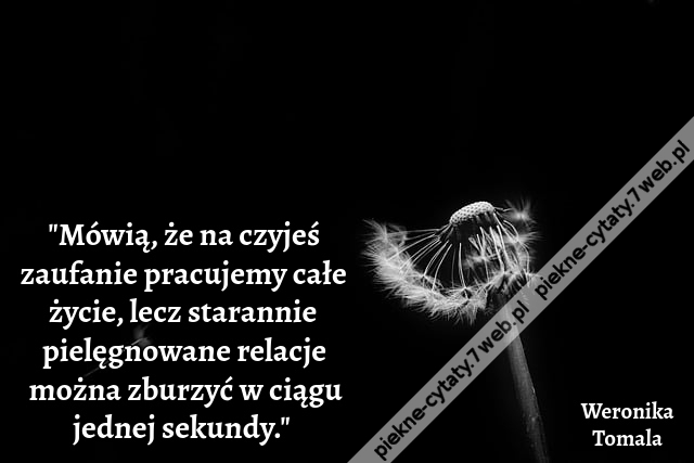 "Mówią, że na czyjeś zaufanie pracujemy całe życie, lecz starannie pielęgnowane relacje można zburzyć w ciągu jednej sekundy."