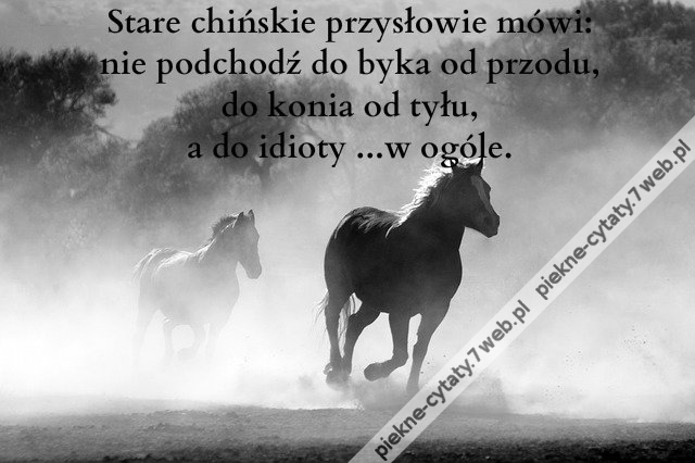 Stare chińskie przysłowie mówi: nie podchodź ...