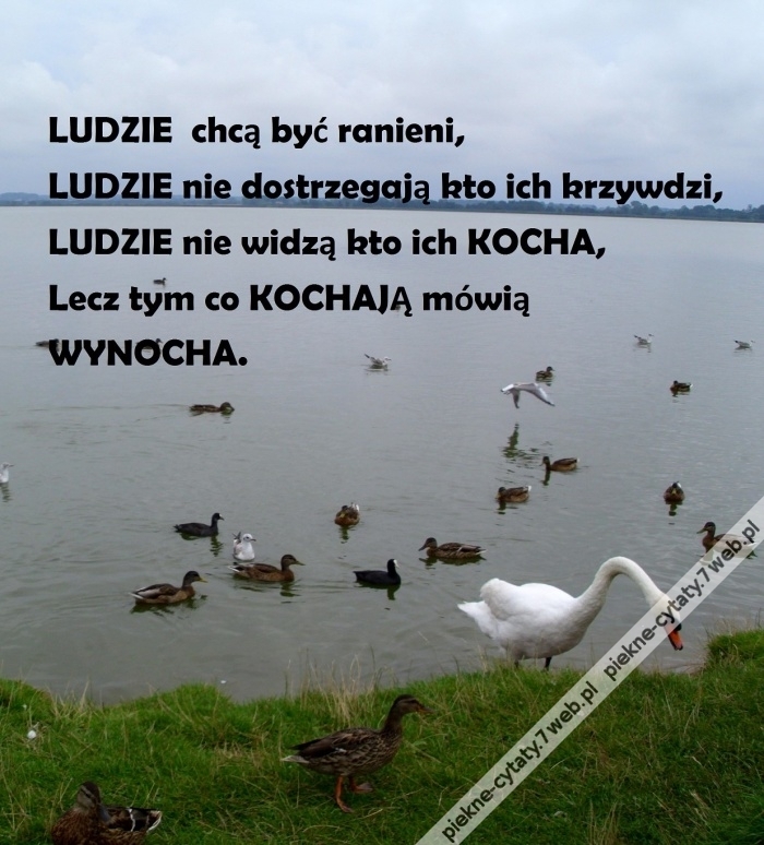 Ludzie.