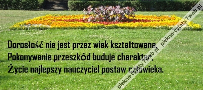 Dorosłość.